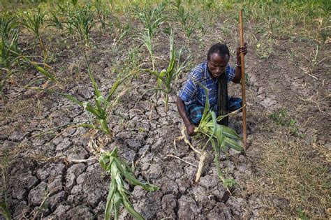  Afar Power Struggle: Reflections on the 2014-2015 Ethiopian Drought Crisis and its Impact on Regional Stability