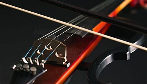 Electric Violin Price: A Symphony of Factors Influencing Your Purchase Decision