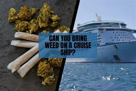 How to Sneak Weed on a Cruise Ship: A Journey Through Creative Thinking and Unrelated Musings