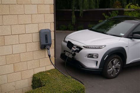 Should I Charge My Electric Car Every Night? And Why Do Birds Suddenly Appear Every Time You Plug In?