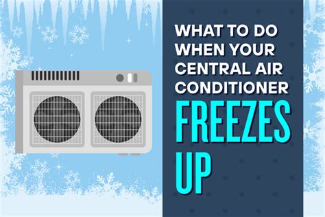 What to Do If Your Air Conditioner Freezes Up: And Why Penguins Might Be the Real Culprits