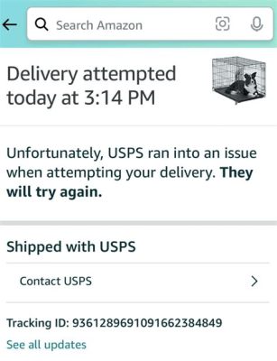 Will Amazon Refund Me If My Package Was Stolen? And Why Do Squirrels Always Look So Suspicious?